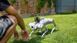 H-FARM Summer School 2023: un’esperienza formativa sempre più ampia e integrata per un’estate immersa nel verde all’insegna della scoperta