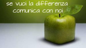 A Halo Comunicazione ufficio stampa, pr e comunicazione social di Itely Hairfashion