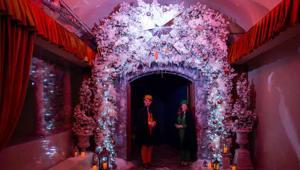 Inaugurato a Milano "Harry Potter: La Cerimonia del Ballo del Ceppo", coprodotto da Warner Bros. Discovery Global Themed Entertainment e Fever
