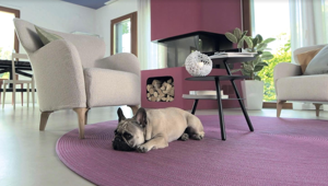 Hitachi celebra il piacere di stare in casa sul web con la cagnolina Gracy Moma Comunicazione