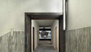 Apre al pubblico Ica Milano - Istituto Contemporaneo per le Arti, spazio no profit per la città nel segno dell’inclusione, dedicato alle arti e alla cultura contemporanea