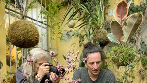 IKEA e Annie Leibovitz lanciano un inedito programma di mentoring per aspiranti fotografi