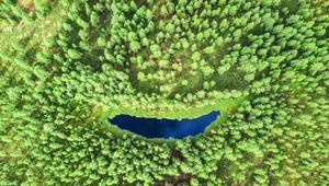 L’installazione ‘Treebute, a Kind of Green’ apre al pubblico dal 28 al 30 settembre nella nuova location Factory NoLo. Il progetto inserito nel palinsesto della Milano Green Week