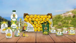 Con assegnazione diretta, Gruppo Villari punta su Expansion Group come partner di comunicazione