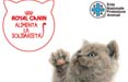 Royal Canin sostiene i gattili Enpa con Go Up Communication
