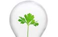 Indagine IBM: aziende 'green' ma poco informate sulla CSR