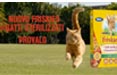 Friskies torna in tv con DDB Italia