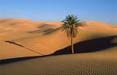 Headline vince la gara indetta dall'Ente del Turismo del Marocco