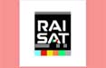 La comunicazione sociale si vede su RaiSat 