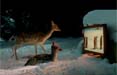 Animali del bosco ed elfi nel nuovo spot 1861United per il Natale di Sky 