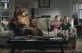 LO STORYTELLING DI ADVexpress: TEMPUR-PEDIC The Bear