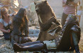 Gunn Report 2012: Canal+ con 'The Bear' il film più premiato