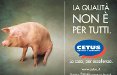 La qualità di Cetus non è per tutti. Firma Peyote adv