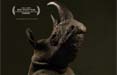 L'ADCI premia il corto 'Next Floor' a Capalbio 

