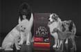 Purina Pro Plan nutre e protegge i pets con Publicis