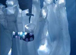 Film: Terno tricolore. Leone d'Oro ad 'Underwater world' di Leo Burnett per Ariston Aqualtis 