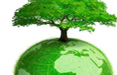 Verso Expo 2015: la green economy chiave per il successo