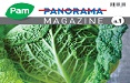 Nasce Pam Panorama Magazine