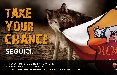 Fuorisede comunica gli AS Roma Store con la campagna 'Take your chance' 