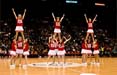 Su AMMandmore.com si diventa partner della Federazione Italiana Cheerleading Acrobatico e Dance