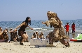 Con Hi! e Matilde Vicenzi, 30 Inuit approdano a Riccione per un'estate eschimese