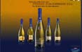 Al via sul sito martinibluparty.it, il concorso Bacardi-Martini&Rossi