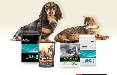 Purina si apre al couponing digitale con Klikkapromo.it 