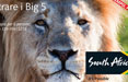 South African Tourism porta il safari a Milano