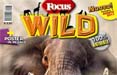 In edicola Focus Wild, nuovo mensile per ragazzi