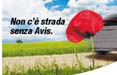 Avis Autonoleggio on air con la campagna firmata Adpress Communications