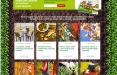 Auchan lancia l’operazione ‘Il Bello del Giardino – Tutto per coltivare la tua passione’ con Plan.net