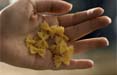 Young & Rubicam firma il nuovo spot dei Piccolini Barilla