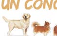 Pubblimarket2 firma i nuovi programmi di loyalty di Royal Canin