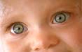 Johnson's Baby Shampoo e Lowe Pirella a difesa degli occhi dei bambini