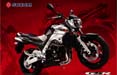 Suzuki sceglie le cartoline di Citrus