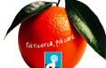 Wlf promuove le arance di Airc

