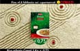 On air il nuovo spot Conad di Aldo Biasi Comunicazione