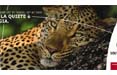 South African Tourism torna on air con Go Up