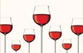 Candido Vini su stampa con Big Sur 
