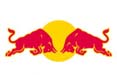 Gerhard Berger acquisisce il 50% di Toro Rosso