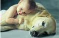 NAH: nel 2006 280 mila euro per campagne sugli animali domestici
