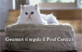 Gourmet torna in comunicazione con Ddb