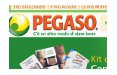 Pegaso punta sull'e-commerce con PBCOM