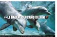 Le Balene cercano delfini