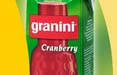 A Euro Rscg il budget pan-europeo dei succhi di frutta Granini