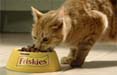 Friskies in tv e sul web con DDB Italia 