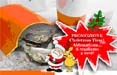 Regalati, o regala ai tuoi migliori clienti, un anno con ADVexpress!
