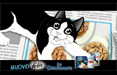 Il gatto Felix lancia Le Ghiottonerie in tv con DDB Italia 
