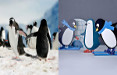 Campagna da “wow effect” per il lancio di Land of Ice by Pixartprinting
