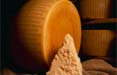 Il Consorzio del Formaggio Parmigiano-Reggiano fa tappa a Milano